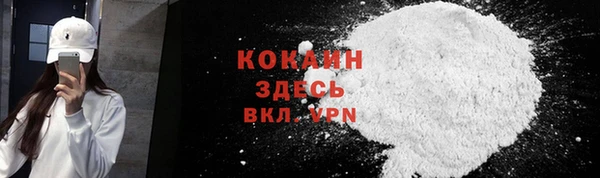крисы Верхний Тагил