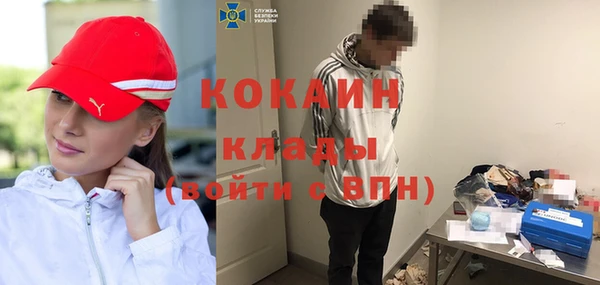 крисы Верхний Тагил