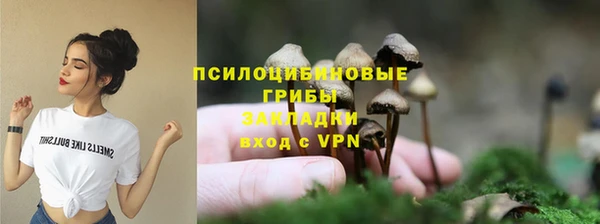 крисы Верхний Тагил